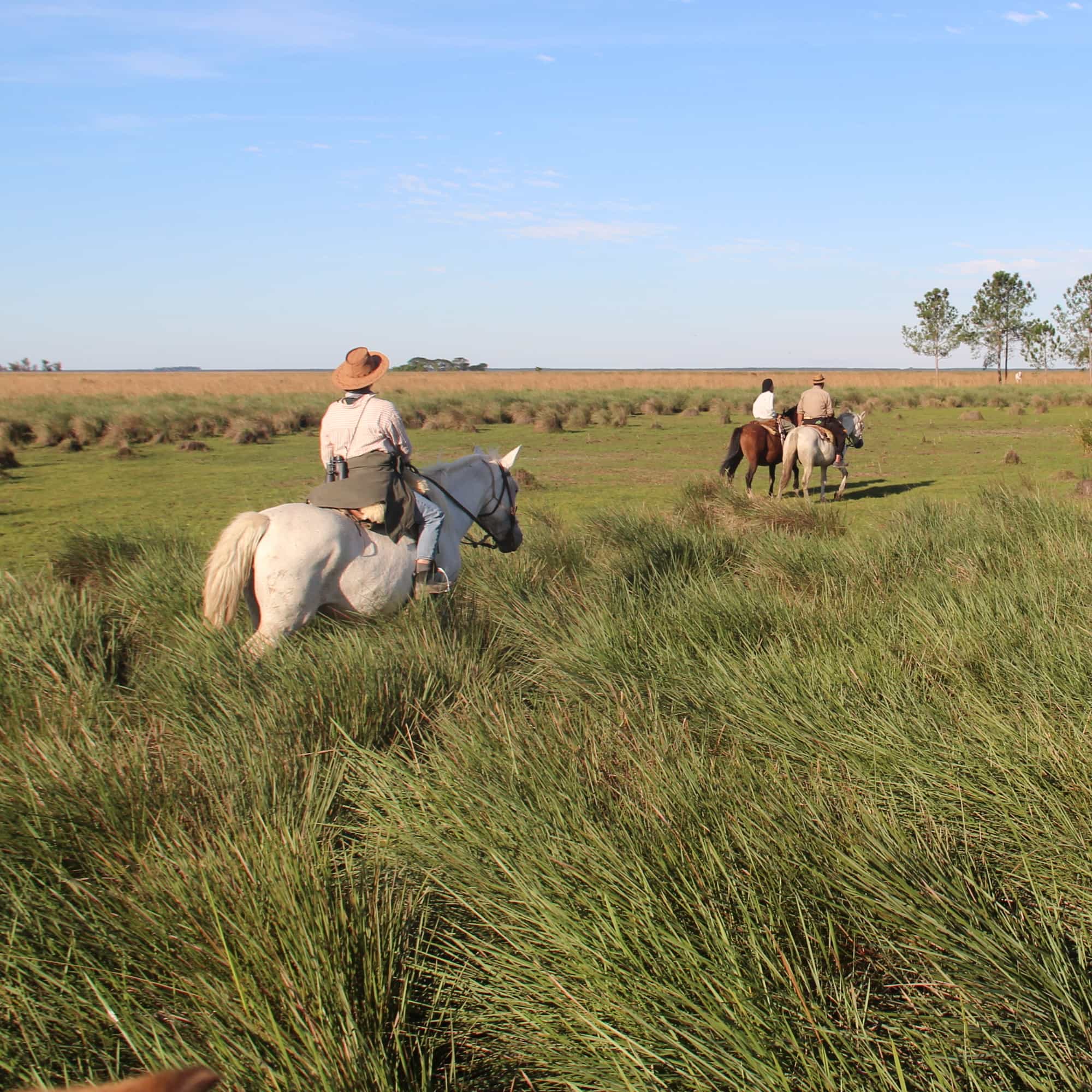 foto de la cabalgata en el pasto alto